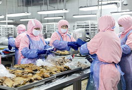 山東濰坊樂港食品股份出口創紀錄 散裝食品撬動4680萬美元市場